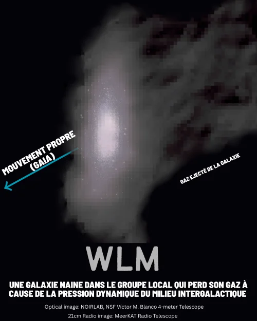 WLM, a dwarf galaxy shaped by the intergalactic medium