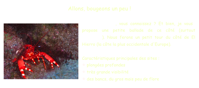 Allons, bougeons un peu ! 

Les  Canaries  , vous connaissez ? Et bien, je vous ￼propose une petite ballade de ce côté (surtout  Tenerife ). Nous ferons un petit tour du côté de El Hierro (la côte la plus occidentale d'Europe). 

Caractéristiques principales des sites : 
 plongées profondes
 très grande visibilité
 des bancs, du gros mais peu de flore