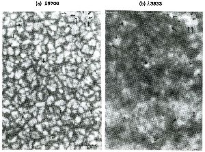 cliquez ici pour voir l'image (fig06.jpg)