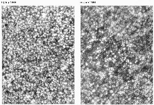 cliquez ici pour voir l'image (fig07.JPG)
