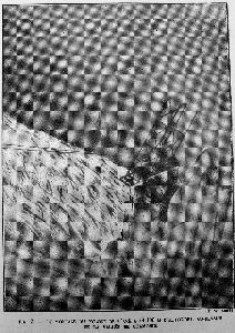 cliquez ici pour voir l'image (09.jpg)