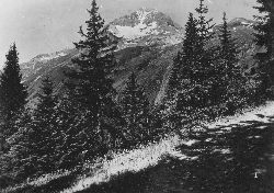 Cliquez ici pour voir l'image (dentparrachee.jpg)