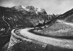 Cliquez ici pour voir l'image (tsanteleina.jpg)