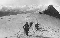 Cliquez ici pour voir l'image (Vallot.jpg)