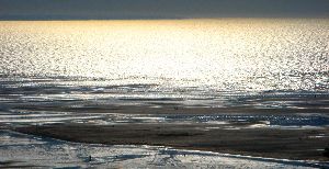 cliquez ici pour voir l'image (IMG_0485.JPG)