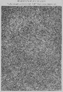 cliquez ici pour voir l'image (07.jpg)