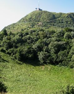 cliquez ici pour voir l'image (Nid-Poule.JPG)