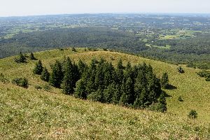 cliquez ici pour voir l'image (Puy-Come-cratere.JPG)