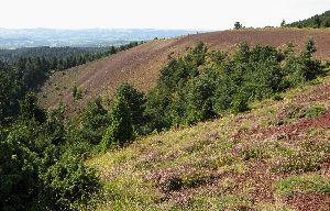 cliquez ici pour voir l'image (Puy-Lassolas3.JPG)