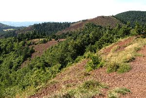 cliquez ici pour voir l'image (Puy-Vache1.JPG)