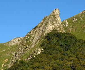 cliquez ici pour voir l'image (Crete-Coq.JPG)