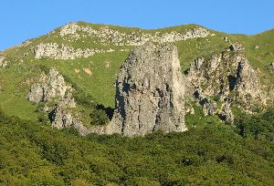 cliquez ici pour voir l'image (Dent-Rancune.JPG)