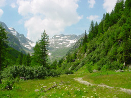 Permet de se rendre sur une image en cliquant