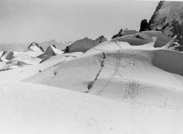 Permet de se rendre sur une image en cliquant