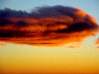 cliquez ici pour voir l'image (59.jpg)