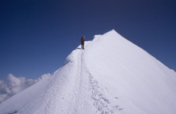 Permet de se rendre sur une image en cliquant