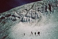 cliquez ici pour voir l'image (132.jpg)