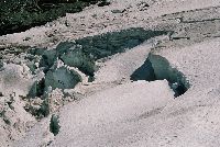 cliquez ici pour voir l'image (141.jpg)