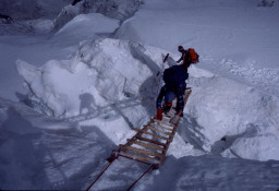 Permet de se rendre sur une image en cliquant