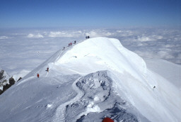 Permet de se rendre sur une image en cliquant