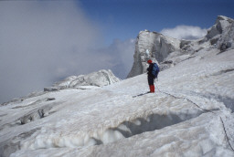 Permet de se rendre sur une image en cliquant