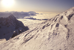 Permet de se rendre sur une image en cliquant