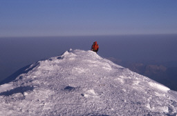 Permet de se rendre sur une image en cliquant