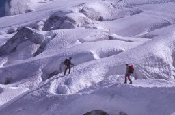 Permet de se rendre sur une image en cliquant