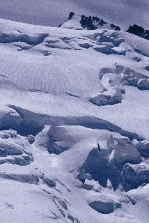 cliquez ici pour voir l'image (074.JPG)