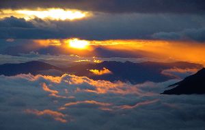 cliquez ici pour voir l'image (rayons.JPG)