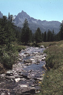 Permet de se rendre sur une image en cliquant