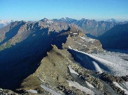 cliquez ici pour voir l'image (Lamet-Ronce.jpg)