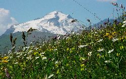 cliquez ici pour voir l'image (Grande-Motte2.jpg)