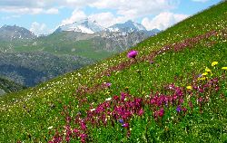 cliquez ici pour voir l'image (Grande-Motte.jpg)