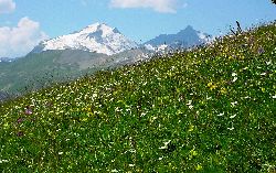 cliquez ici pour voir l'image (Grde-Motte-Grde-Casse2.JPG)