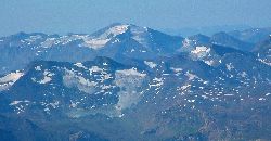 cliquez ici pour voir l'image (Ronce.jpg)