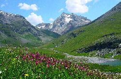 cliquez ici pour voir l'image (Tsanteleina.jpg)