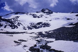 cliquez ici pour voir l'image (Mean_Martin.jpg)