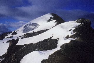 cliquez ici pour voir l'image (Ouille_Noire_2.jpg)