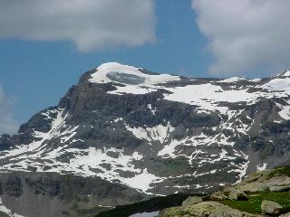 cliquez ici pour voir l'image (Ouille_Noire.JPG)