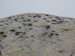 cliquez ici pour voir l'image (Pierre_aux_Pieds.JPG)