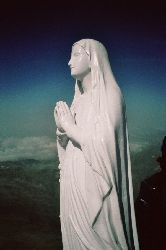 cliquez ici pour voir l'image (089.jpg)