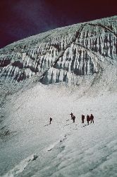 cliquez ici pour voir l'image (133.jpg)