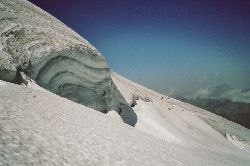 cliquez ici pour voir l'image (137.jpg)