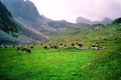 cliquez ici pour voir l'image (168.jpg)