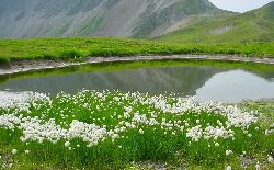 cliquez ici pour voir l'image (DSC04348.JPG)