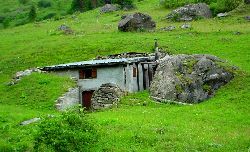 cliquez ici pour voir l'image (DSC04349.JPG)