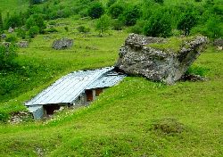 cliquez ici pour voir l'image (DSC04351.JPG)