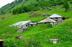 cliquez ici pour voir l'image (DSC04353.JPG)