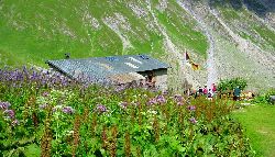 cliquez ici pour voir l'image (DSC04369.JPG)